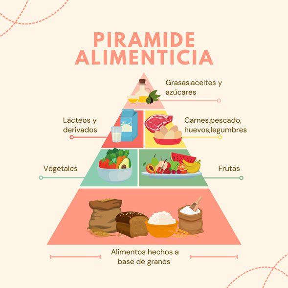 piramide alimenticia