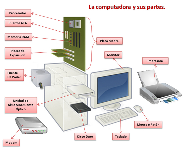 La computadora y sus partes
