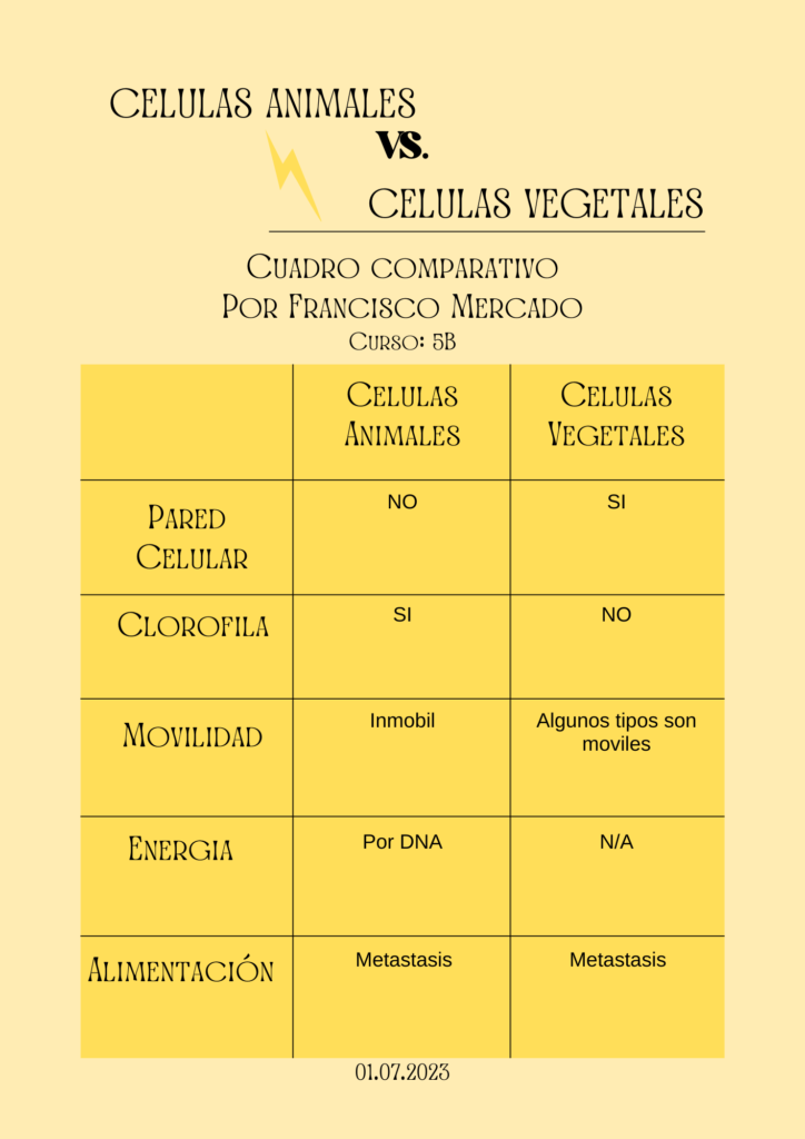 Celulas animales. Cuadro comparativo
