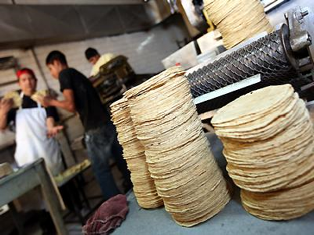 Cuánto cuesta poner una tortillería