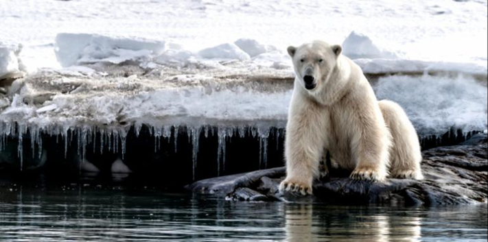 consecuencias del cambio climático