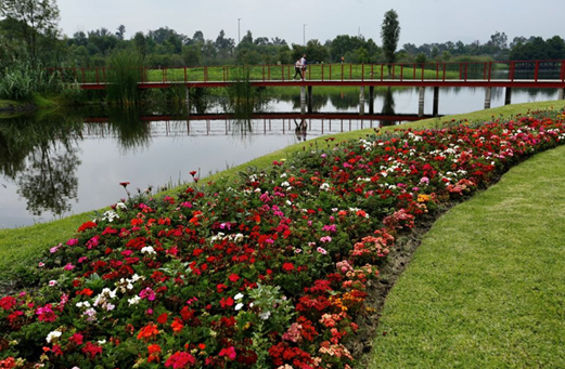 Parque ecológico Xochimilco 