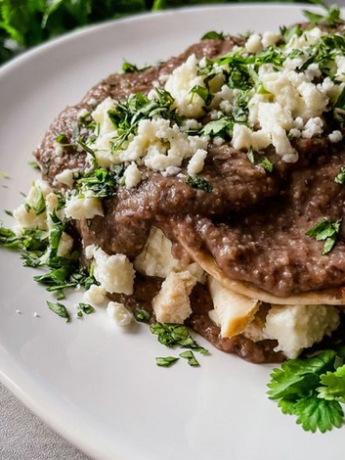 Enfrijoladas mexicanas tradicionales con queso y pollo