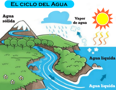 ciclo del agua para niños