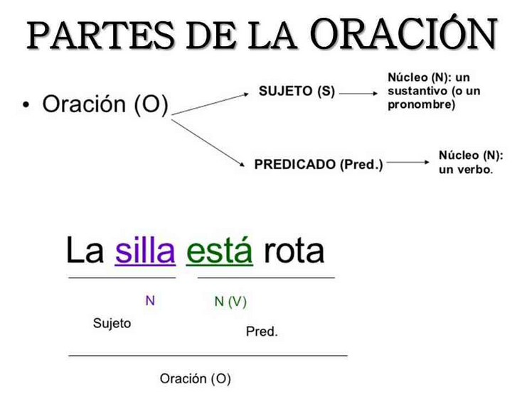 Partes de la oración para niños