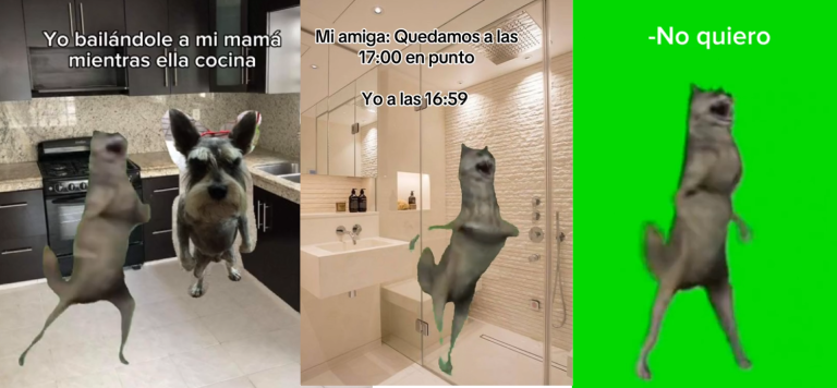 ¿CÓMO SE CREÓ EL MEME IJBIÑIJ? Origen del lobo bailando